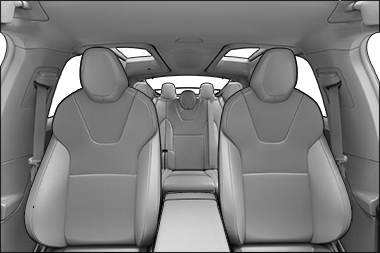 Example of camera view when Allow Cabin Camera Analytics is enabled