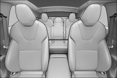 Example of camera view when Allow Cabin Camera Analytics is enabled