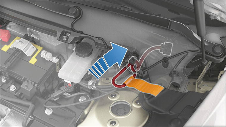 La flecha muestra la conexión del bucle de primera respuesta